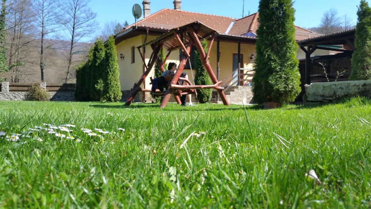 Villa Casa Alex Văliug Exterior foto