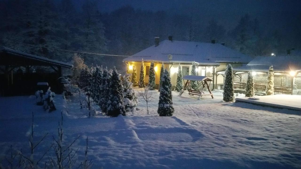 Villa Casa Alex Văliug Exterior foto