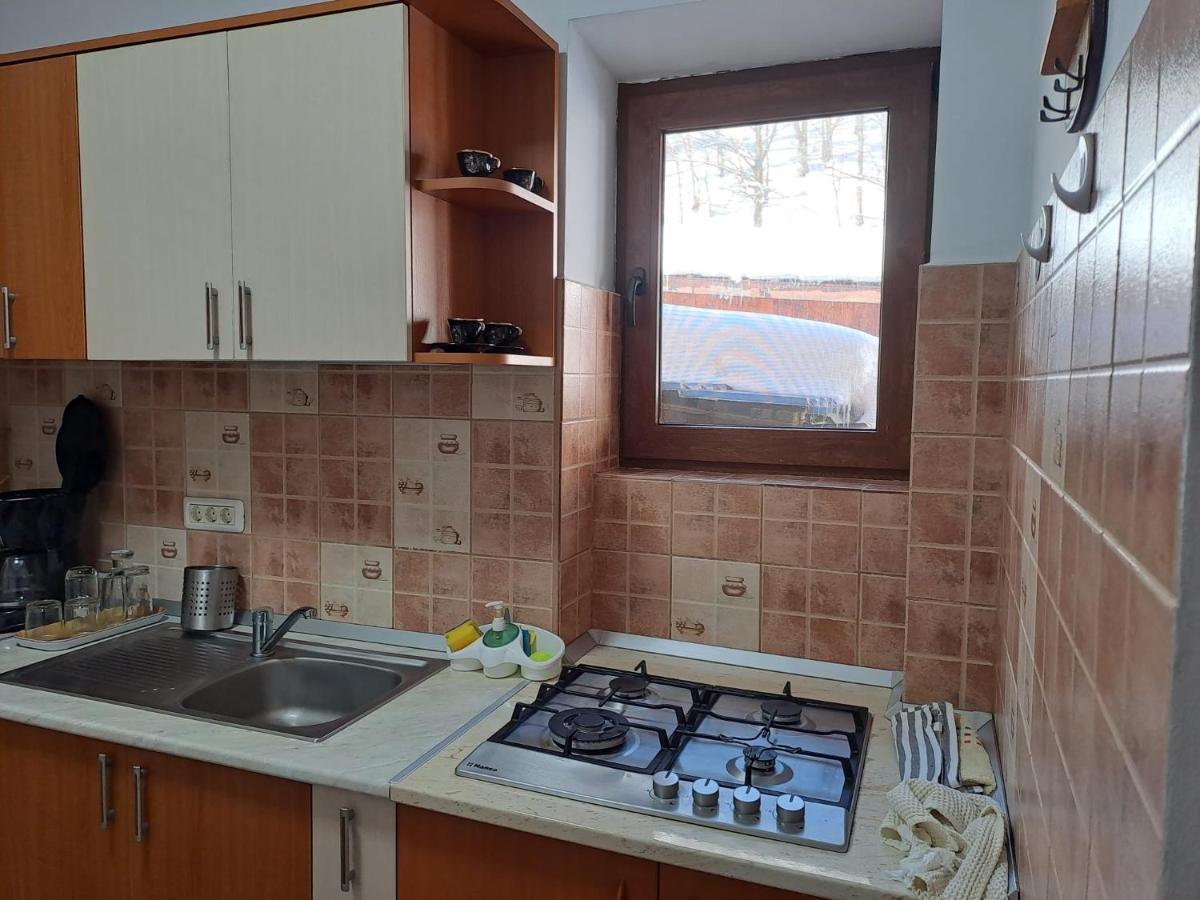 Villa Casa Alex Văliug Exterior foto