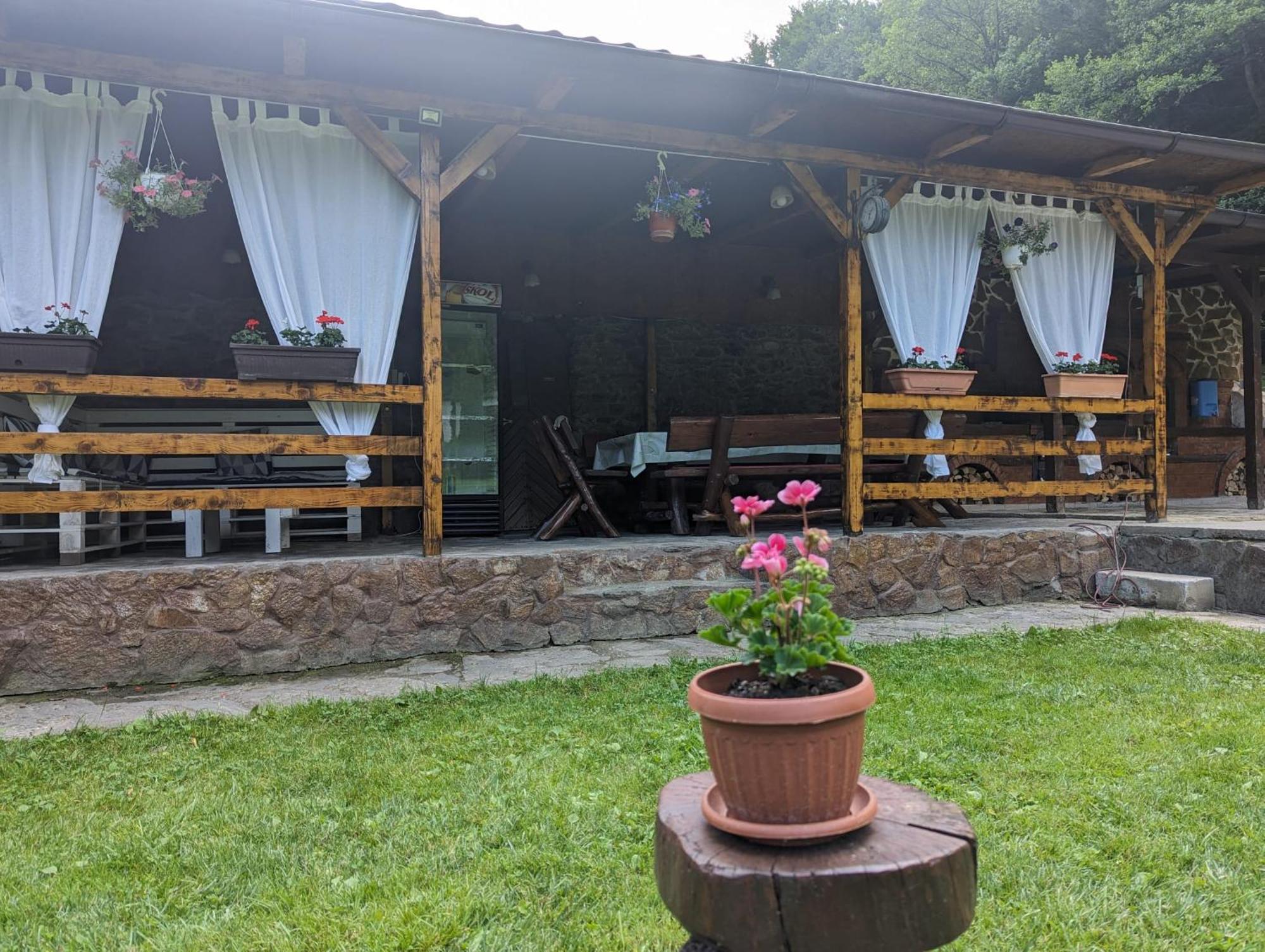 Villa Casa Alex Văliug Exterior foto